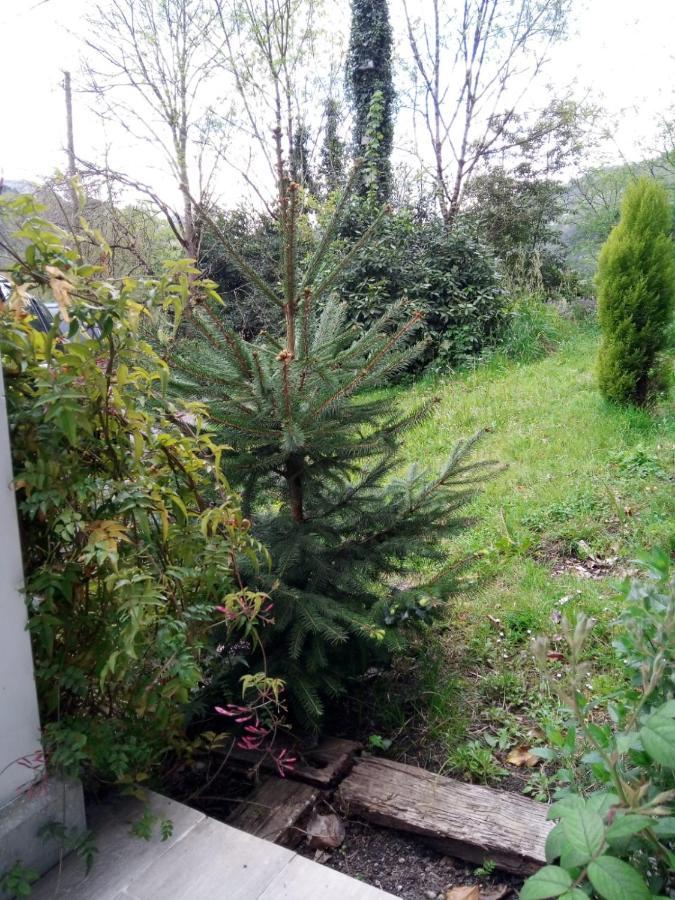 El Rinconin De Degu Villa San Juan de Parres Eksteriør billede